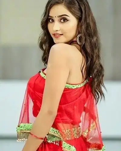 Call Girls Service Udumalaipettai